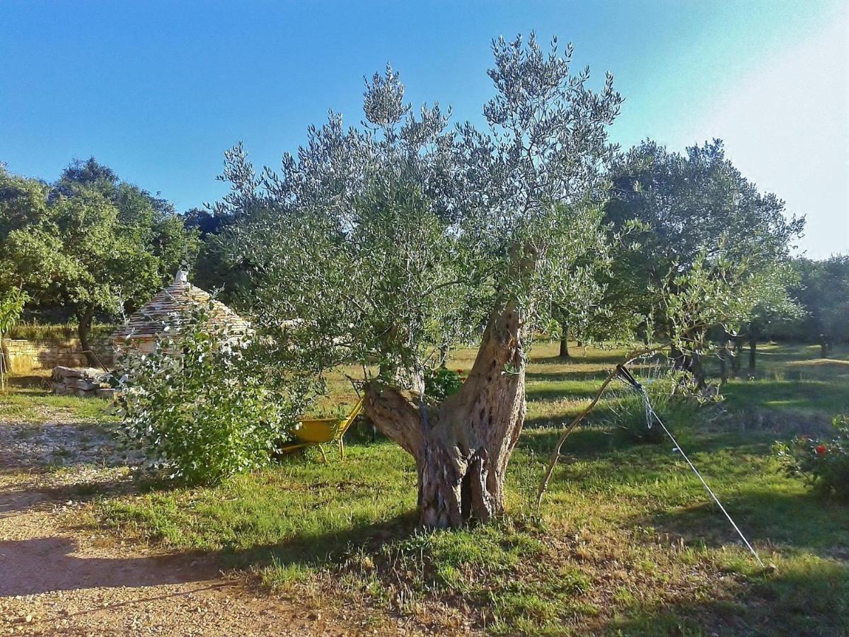רוביני Holiday Apartment Daria 20 מראה חיצוני תמונה