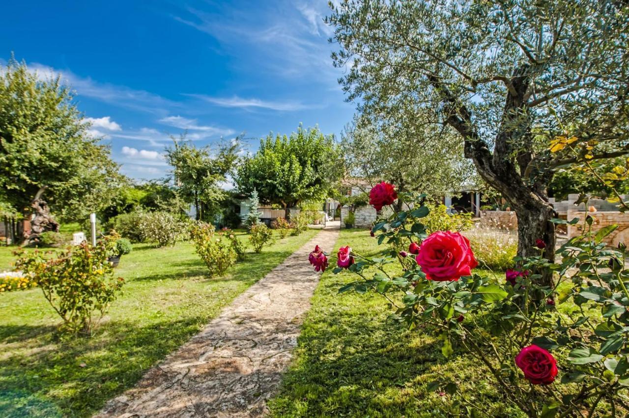 רוביני Holiday Apartment Daria 20 מראה חיצוני תמונה