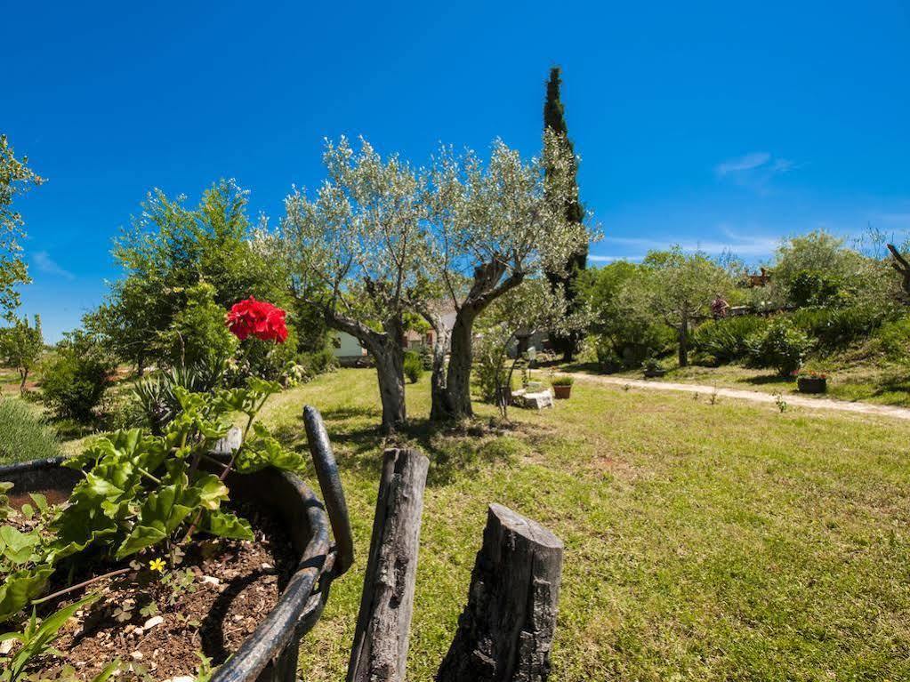 רוביני Holiday Apartment Daria 20 מראה חיצוני תמונה